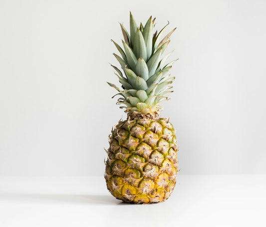 Cuir vegan : guide d'entretien du Piñatex
